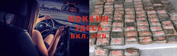 прущие грибы Навашино