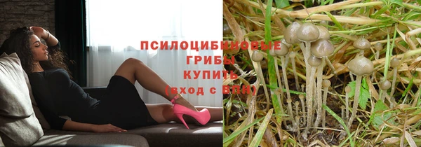 прущие грибы Навашино